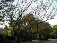 s-DSCN1854.jpg