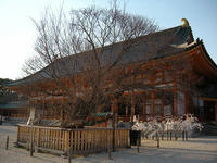 s-DSCN1863.jpg