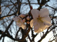 s-DSCN1866.jpg