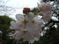 s-DSCN1905.jpg