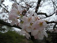 s-DSCN1914.jpg