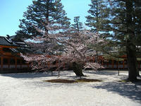 s-DSCN2033.jpg