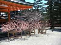 s-DSCN2043.jpg
