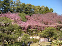 s-DSCN2084.jpg