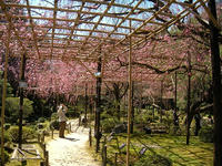 s-DSCN2097.jpg