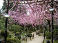 DSCN2148.jpg