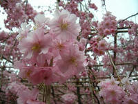 DSCN2151.jpg