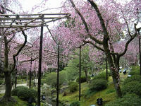 DSCN2152.jpg