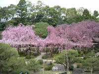 DSCN2153.jpg