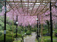s-DSCN2159.jpg