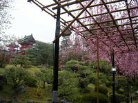 s-DSCN2160.jpg