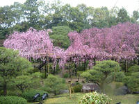 s-DSCN2170.jpg