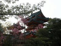 s-DSCN2208.jpg