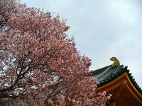 s-DSCN2214.jpg