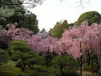 s-DSCN2219.jpg