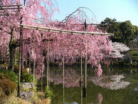 s-DSCN2223.jpg
