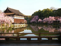s-DSCN2248.jpg