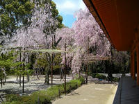 s-DSCN2387.jpg