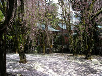 s-DSCN2388.jpg