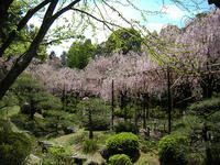 s-DSCN2397.jpg