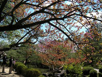 s-DSCN2429.jpg