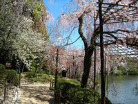 s-DSCN2431.jpg