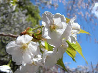 s-DSCN2433.jpg