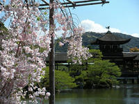 s-DSCN2444.jpg