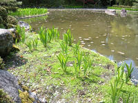 s-DSCN2447.jpg