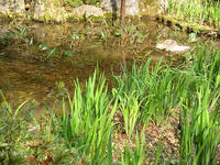 s-DSCN2466.jpg
