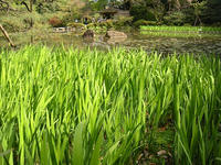 s-DSCN2503.jpg