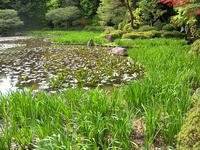 s-DSCN2535.jpg