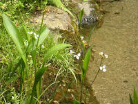 s-DSCN2596.jpg