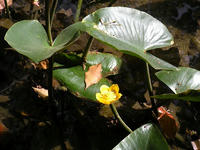 s-DSCN2621.jpg