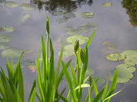 s-DSCN2628.jpg
