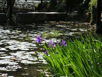 s-DSCN2635.jpg