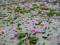 s-DSCN2665.jpg