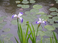 s-DSCN2675.jpg