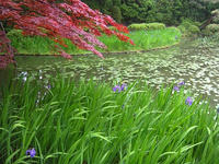 s-DSCN2678.jpg