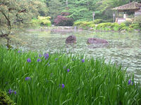 s-DSCN2684.jpg