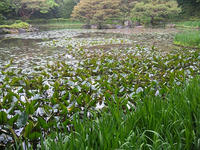 s-DSCN2688.jpg
