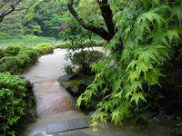 s-DSCN2691.jpg