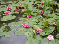 s-DSCN2699.jpg