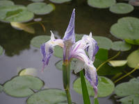 s-DSCN2705.jpg