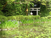 s-DSCN2733.jpg