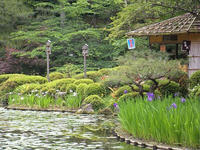 s-DSCN2790.jpg