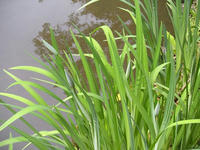 s-DSCN2791.jpg