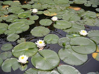 s-DSCN2795.jpg