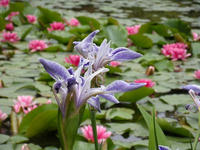s-DSCN2798.jpg