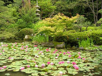 s-DSCN2804.jpg